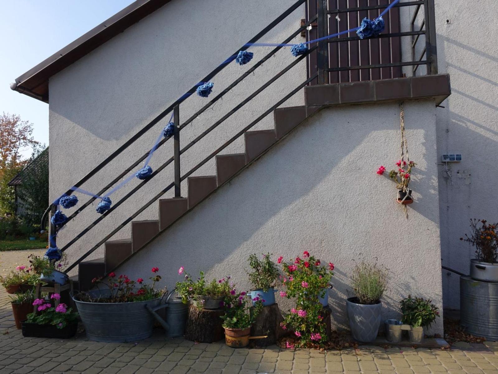 Apartment Ranczo Tomaszowka Lokalik Nad Kurka Rogowo (Znin)
